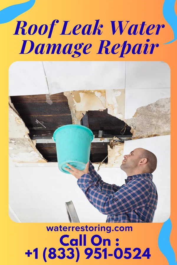 Roof Leak Water Damage Repair in West Hattiesburg, MS