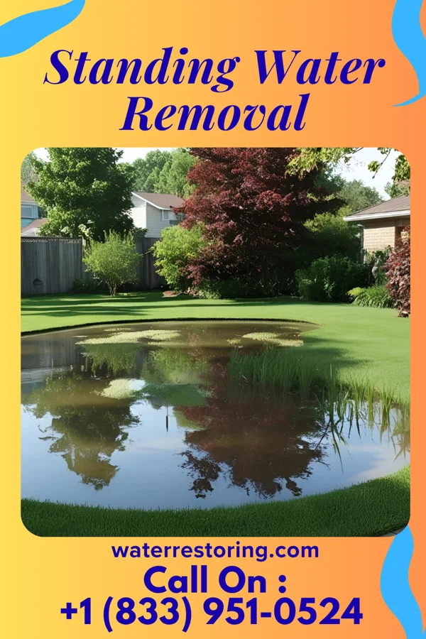 Standing Water Removal in West Hattiesburg, MS